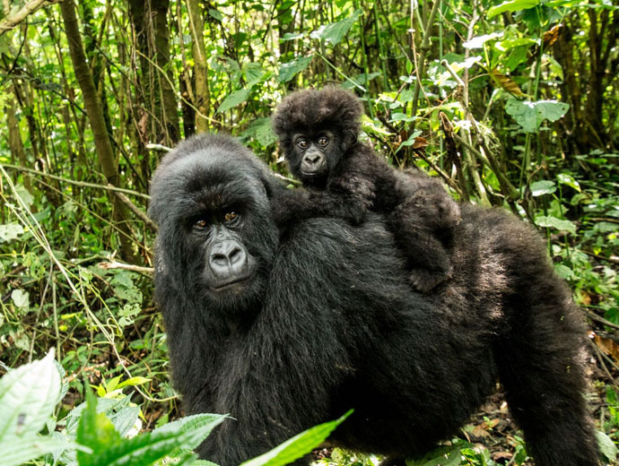 Nyamunyonyi Lake resort 